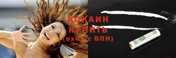 амф Няндома