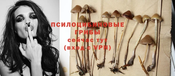 винт Яровое