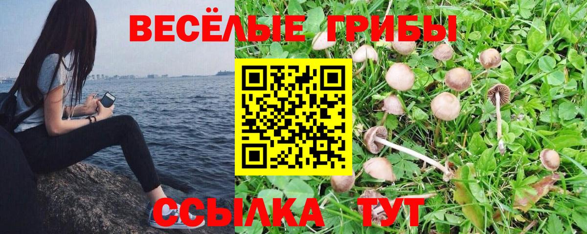 цена   Псилоцибиновые грибы Psilocybe  Вход с VPN  Белебей 