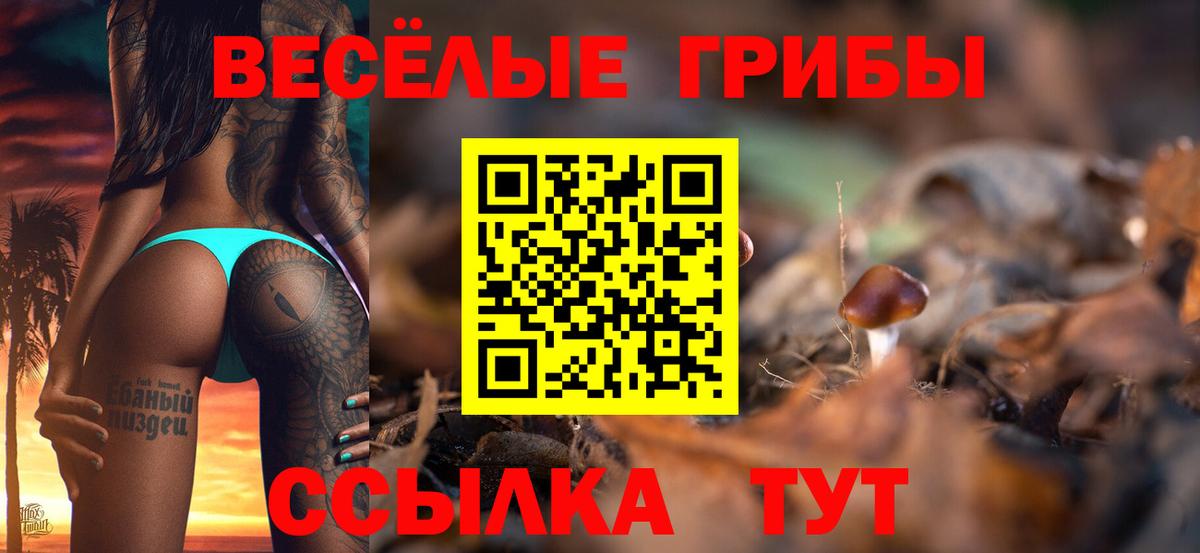 Псилоцибиновые грибы ЛСД  закладка  Белебей 