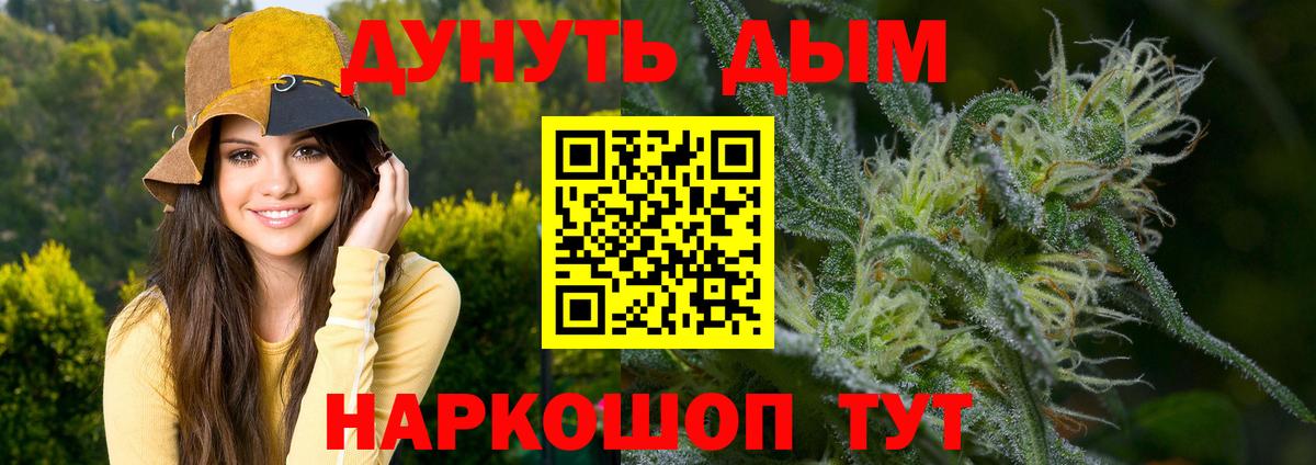 Каннабис сатива  Каннабис OG Kush  МАРИХУАНА планчик  Белебей  МАРИХУАНА SATIVA & INDICA 